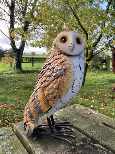 Coloured metal barn owl - coloured, bird