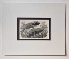 TUNNICLIFFE Sea Cows /