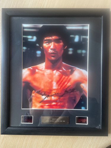Bruce lee fist - bruce, fury