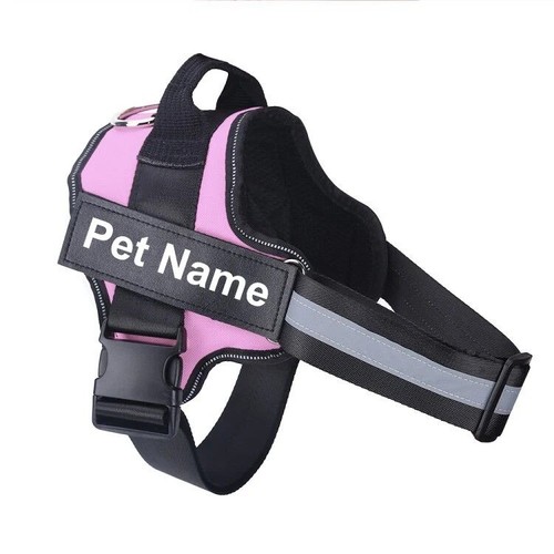 Personalised pull dog - personalised,