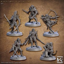 Elf Assassin Blacktongue | Artisan Guild Miniatures