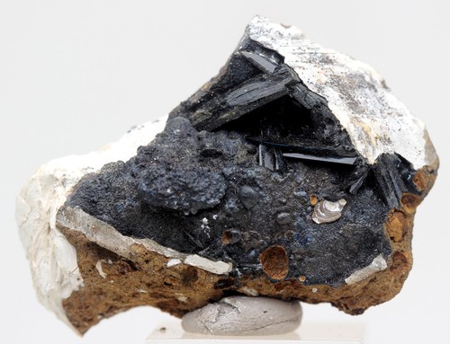 Vivianite clam fossil crystal - vivianite,