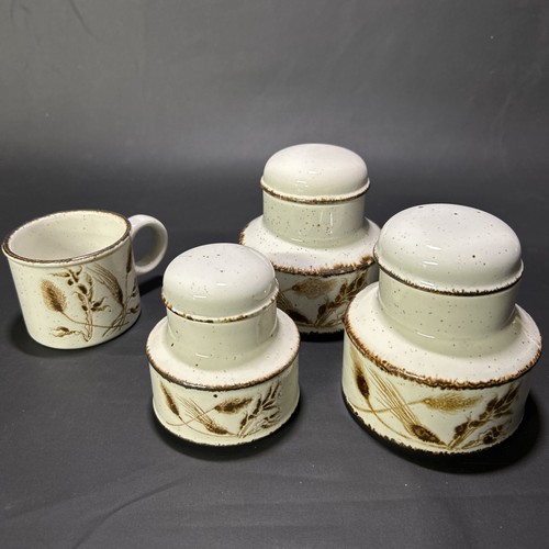 Wedgwood midwinter - 3x,