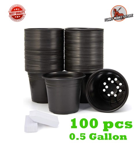 100 pack black - pack,