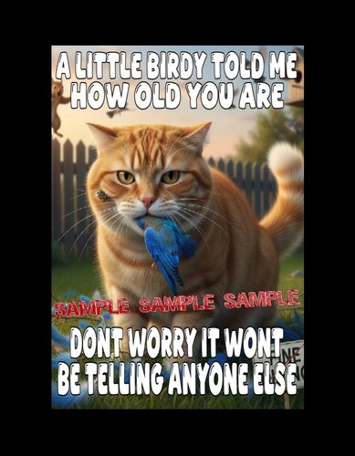 Birthday card funny rude joke - birthday,