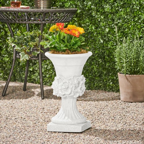 Michaelia chalice garden - michaelia,