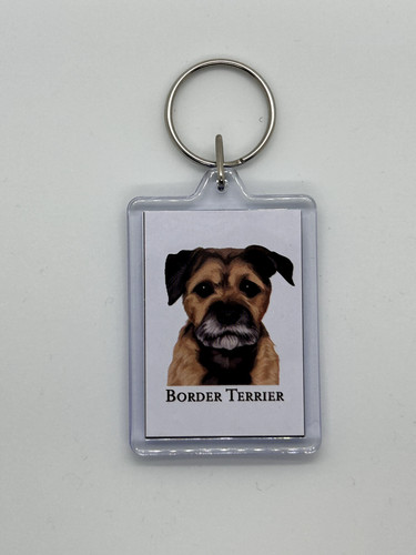 Border terrier dog - border, acrylic