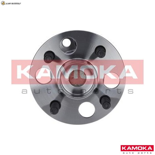 Wheel bearing kit - 5500089, for