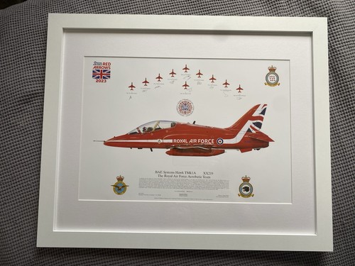 Squadron prints sp258 2023 - squadron,