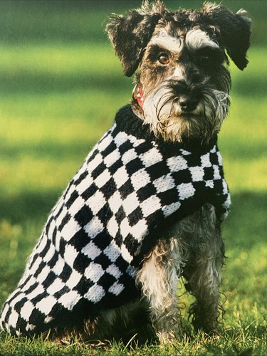 Knitting pattern dogs checked - knitting,