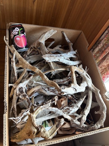 Driftwood job lot over 20 - driftwood,