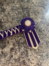 16” Purple And Gold Diamante Show Browband