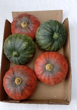 3D Pumpkin Decoration Props