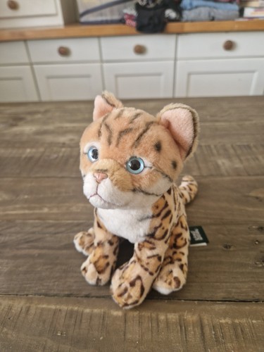 Bengal kitten realistic - bengal,
