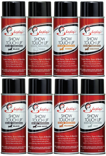 Shapley show touch - shapley's,