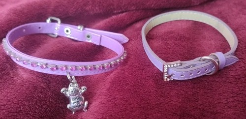 Lilac purple pet collars - 2,