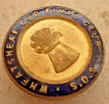 UNKNOWN VINTAGE ENAMEL BADGE
