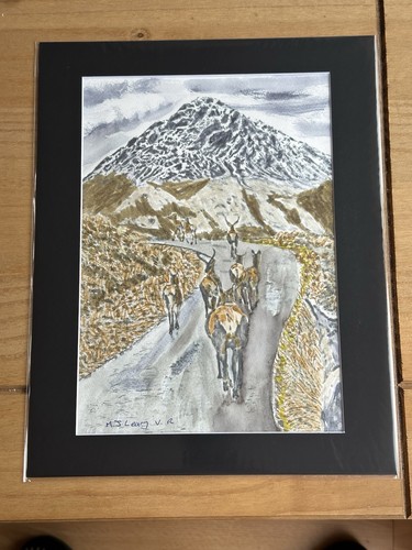 Mark leary wildlife art - mark,