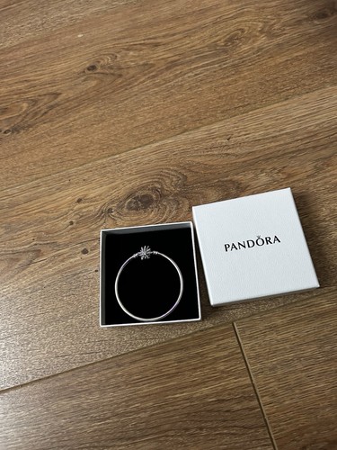 Pandora sterling silver winter - sterling,