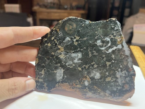 Leopard skin jasper slab 192g - jasper,