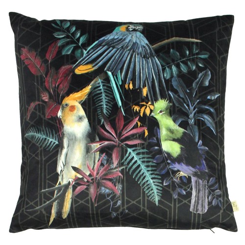 Evans lichfield zinara - lichfield,