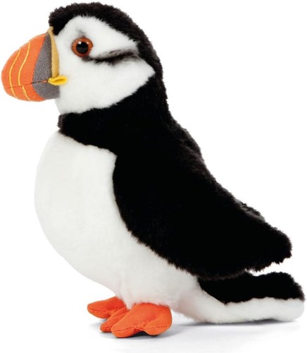 Living nature puffin - living,