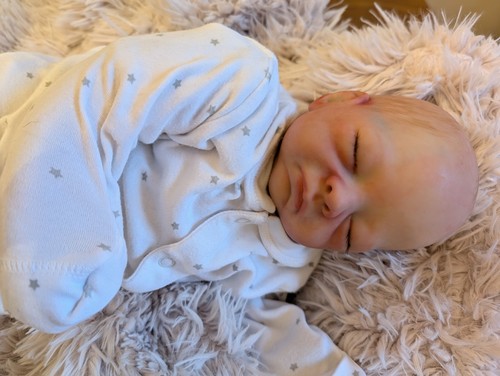Gorgeous reborn cuddle baby - reborn,