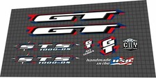 1998 GT STS 1000 DECAL SET