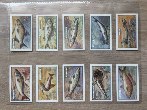 Complete set godfrey - of,