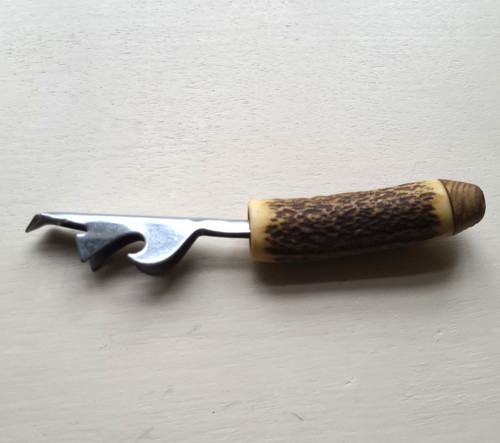 Vintage stag antler - stag,