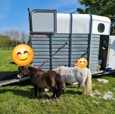 Wessex Clubman Horse Trailer