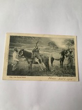Scottish antique postcard - scottish,
