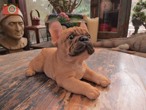Laying french bulldog - laying,