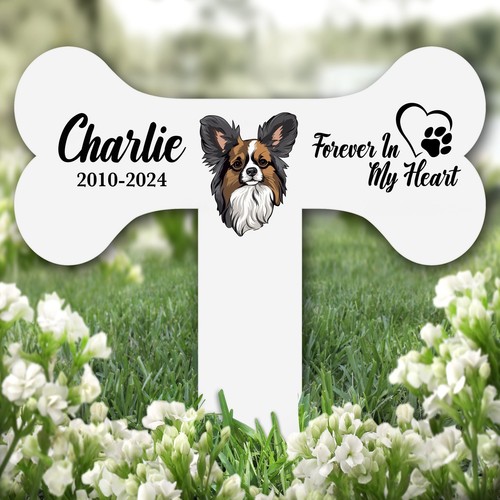 Bone papillon dog heart - papillon,
