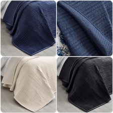 Catherine Lansfield Velvet