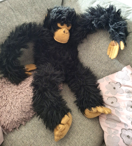 The puppet company large - the, chimp