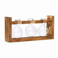 Glass Planter Plant Terrarium