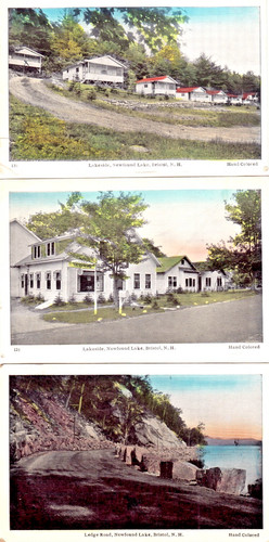 Bristol newfound lake - bristol,