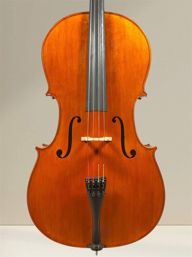 Vultur calin master - calin, “master”