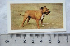 1961 Hornimans Tea Dogs No. 24