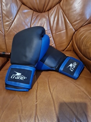 Crane boxing gloves - boxing, large