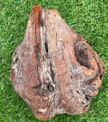 Manzanita burl driftwood for - driftwood,