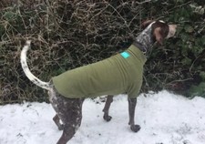 Job Lot Dog Coats jumper