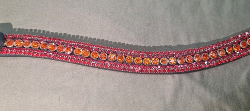 Horse browband shape - horse, v