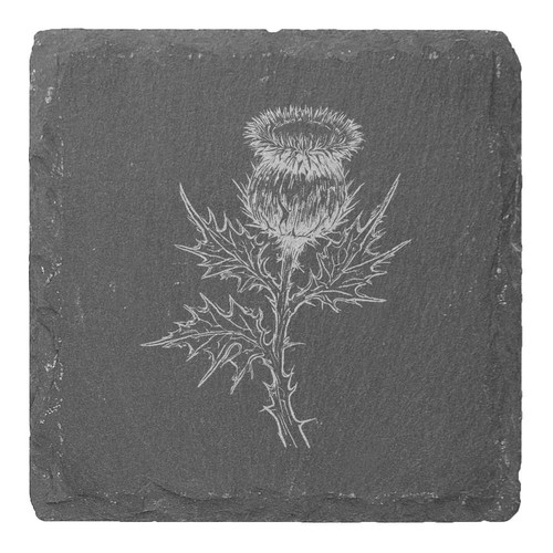 Scottish thistle slate - x, 'scottish