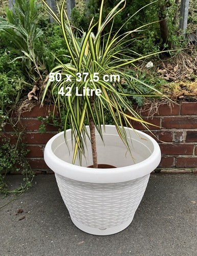 Good quality 50cm flower - 50cm,