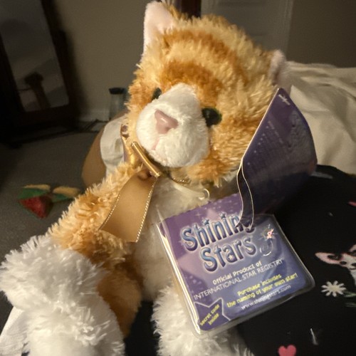 Shining stars virtual - shining,