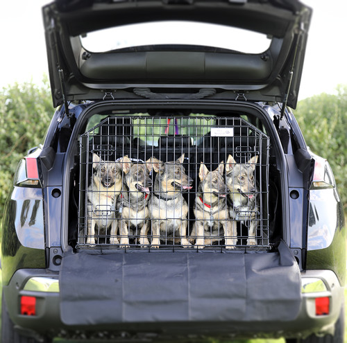 Pet world peugeot 3008 - world,