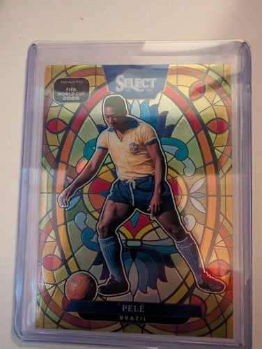 Panini select fifa road - select,
