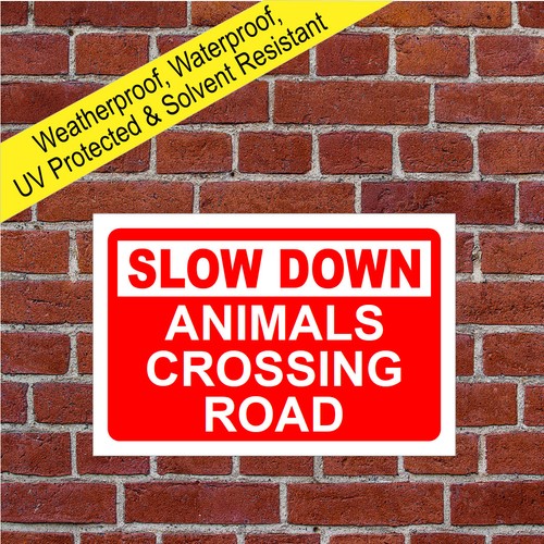 Slow down animals - , crossing